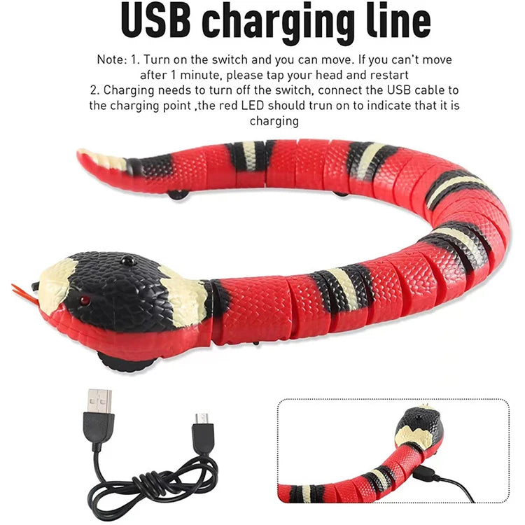 Cat USB Rechargeable Snake Interactive Toy