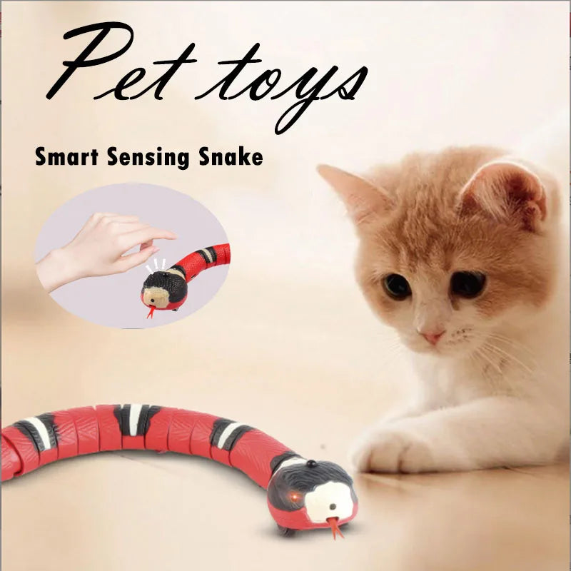 Cat USB Rechargeable Snake Interactive Toy