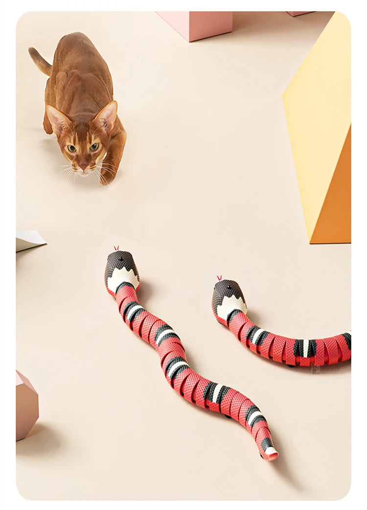 Cat USB Rechargeable Snake Interactive Toy