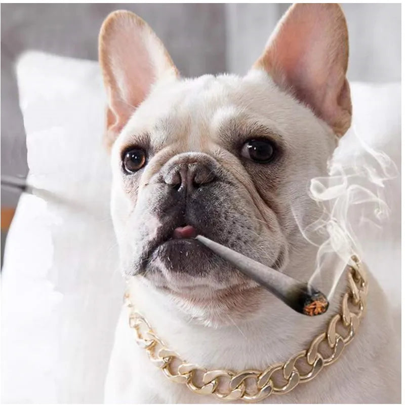 Dog Luxury Gold Chain Collar