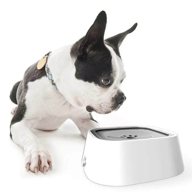 Pet Without Spill Drinking Water Bowl