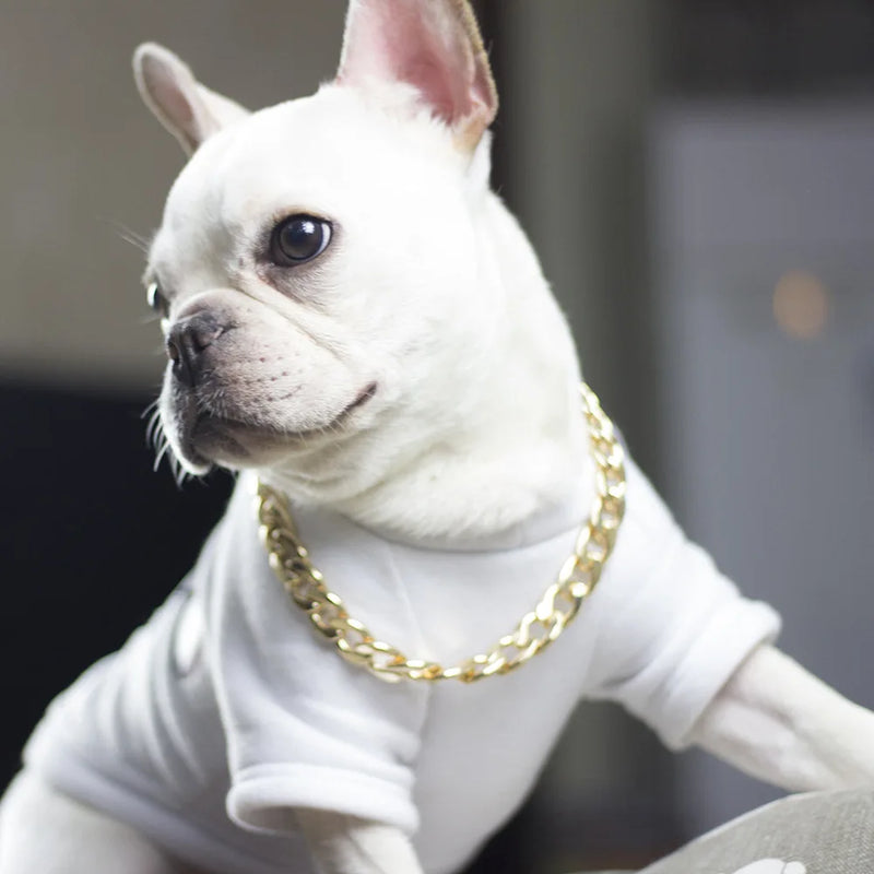 Dog Luxury Gold Chain Collar